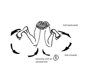 breast kick drawing from back with 3 phases